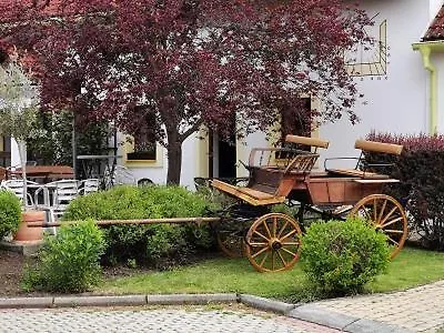 Cesky Statek Hotel Prague